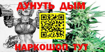 spice Кингисепп