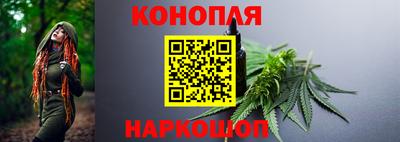 spice Кингисепп