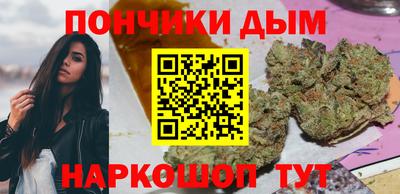 spice Кингисепп