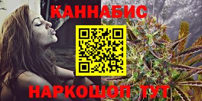 spice Кингисепп