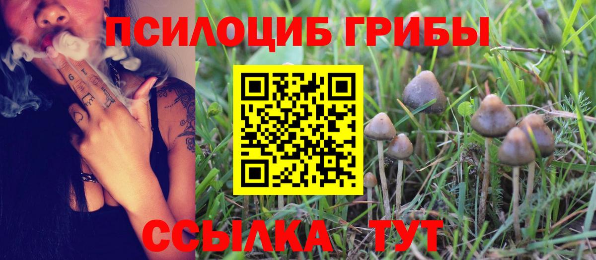 Псилоцибиновые грибы MAGIC MUSHROOMS  Вход с VPN  Кингисепп  Галлюциногенные грибы ЛСД 