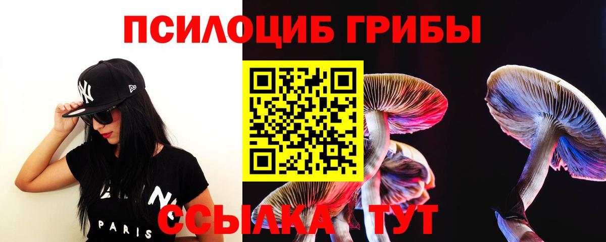 Псилоцибиновые грибы Magic Shrooms Кингисепп